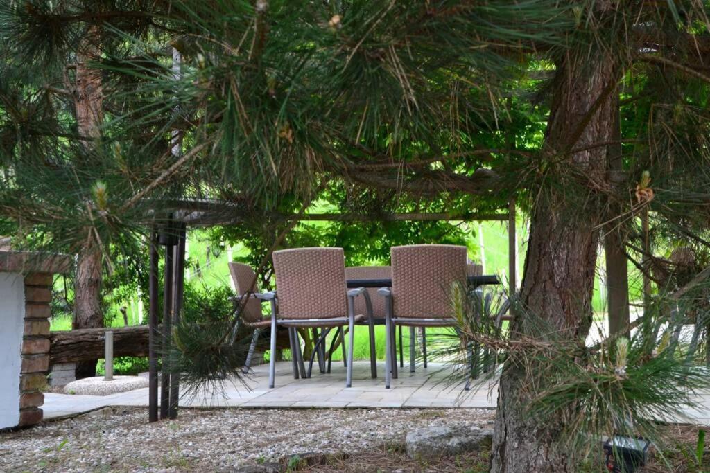 Villam Apartment Maribor Dış mekan fotoğraf